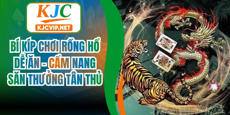 Bí Kíp Chơi Rồng Hổ Dễ Ăn - Cẩm Nang Săn Thưởng Tân Thủ