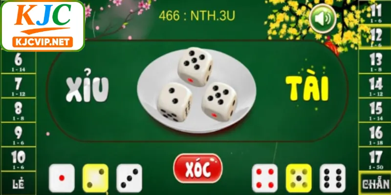 Quy trình tổ chức tài xỉu đổi thưởng